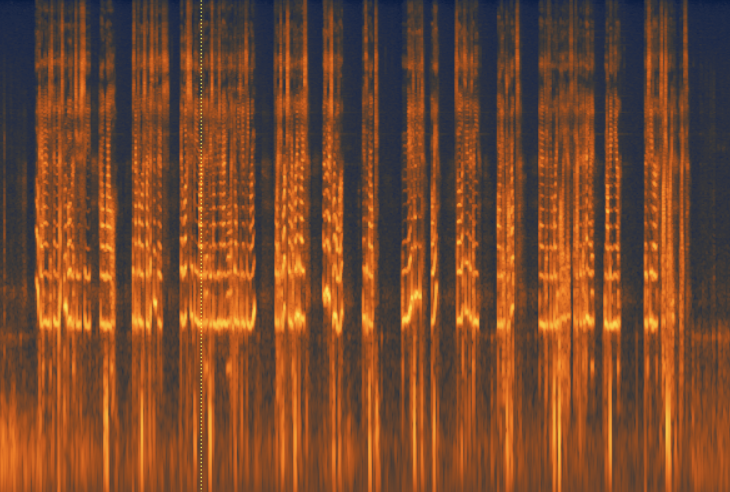 Spectrolgram of a recording testing for interference