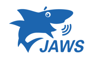JAWS Screenreader